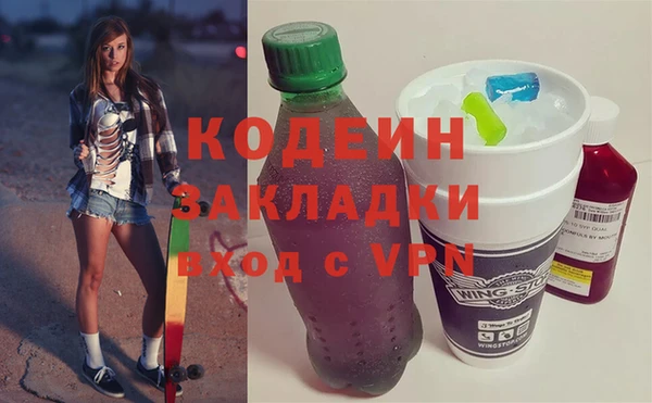 хмурый Алексин