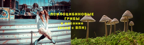 хмурый Алексин