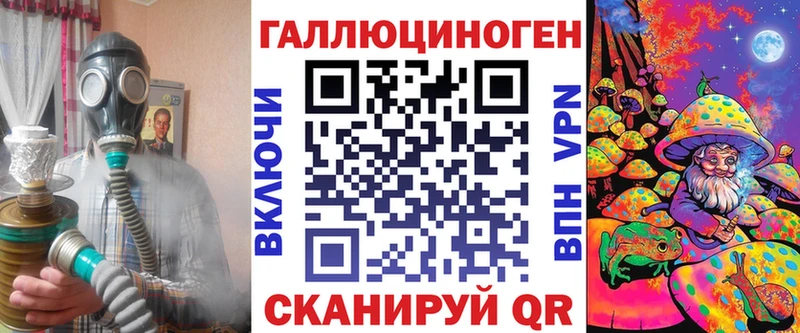 где найти   Шацк  Галлюциногенные грибы Psilocybine cubensis 